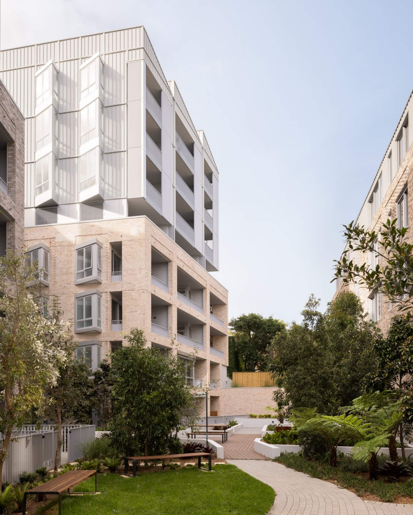 Ceerose_AlexCollective_03_R1