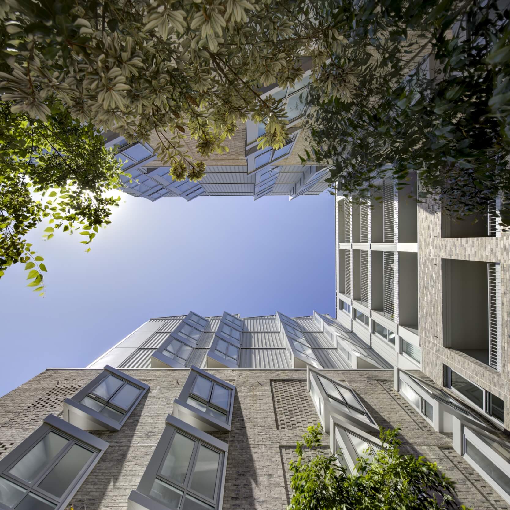 Ceerose_AlexCollective_07_R1