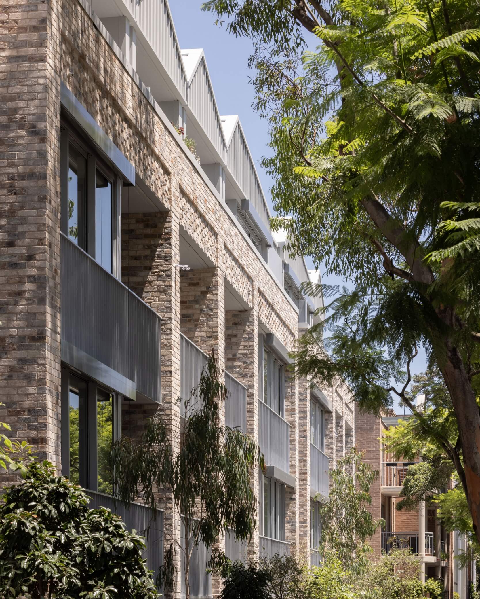 Ceerose_AlexCollective_08_R1